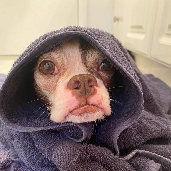 Meet your Posher, Brendan - Picture 1 of 1